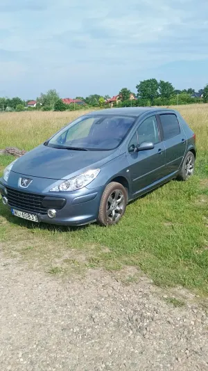 Peugeot 307 II 1.6 Sporty (kla) 2006