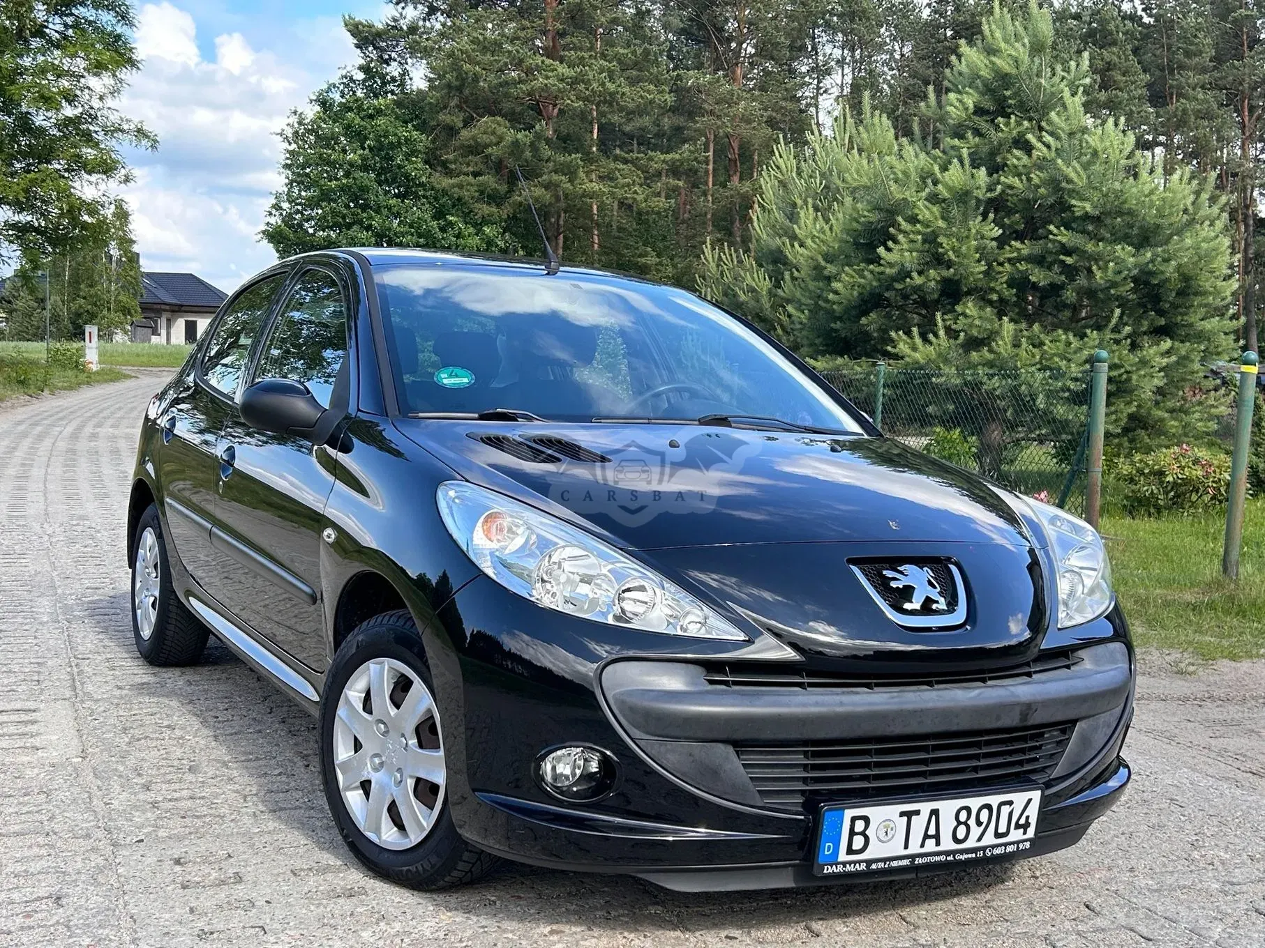 Peugeot 206 60 Generation 2012