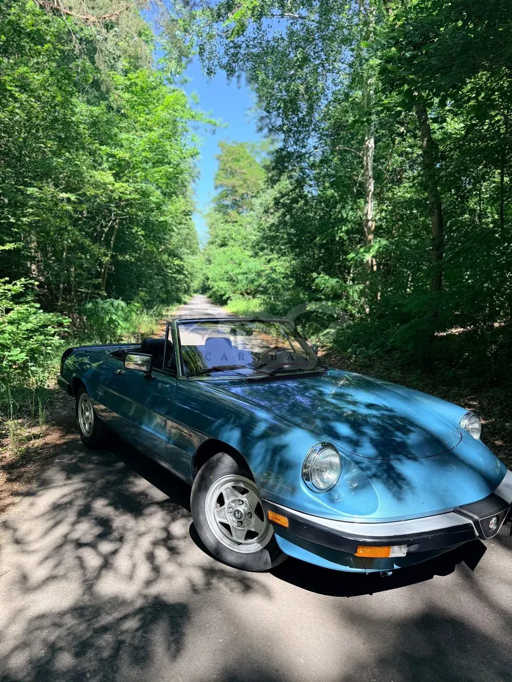 Alfa Romeo Spider 1986