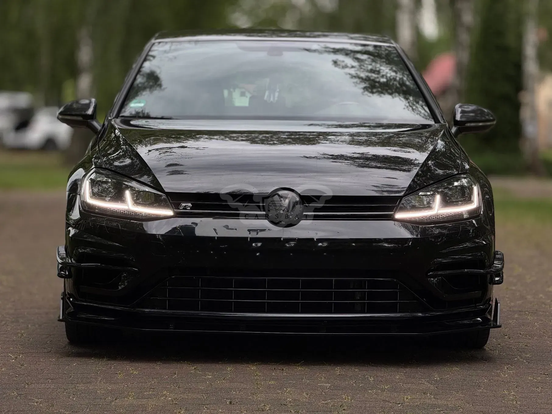Volkswagen Golf VII R 4Motion (BlueMotion Technology) 2017