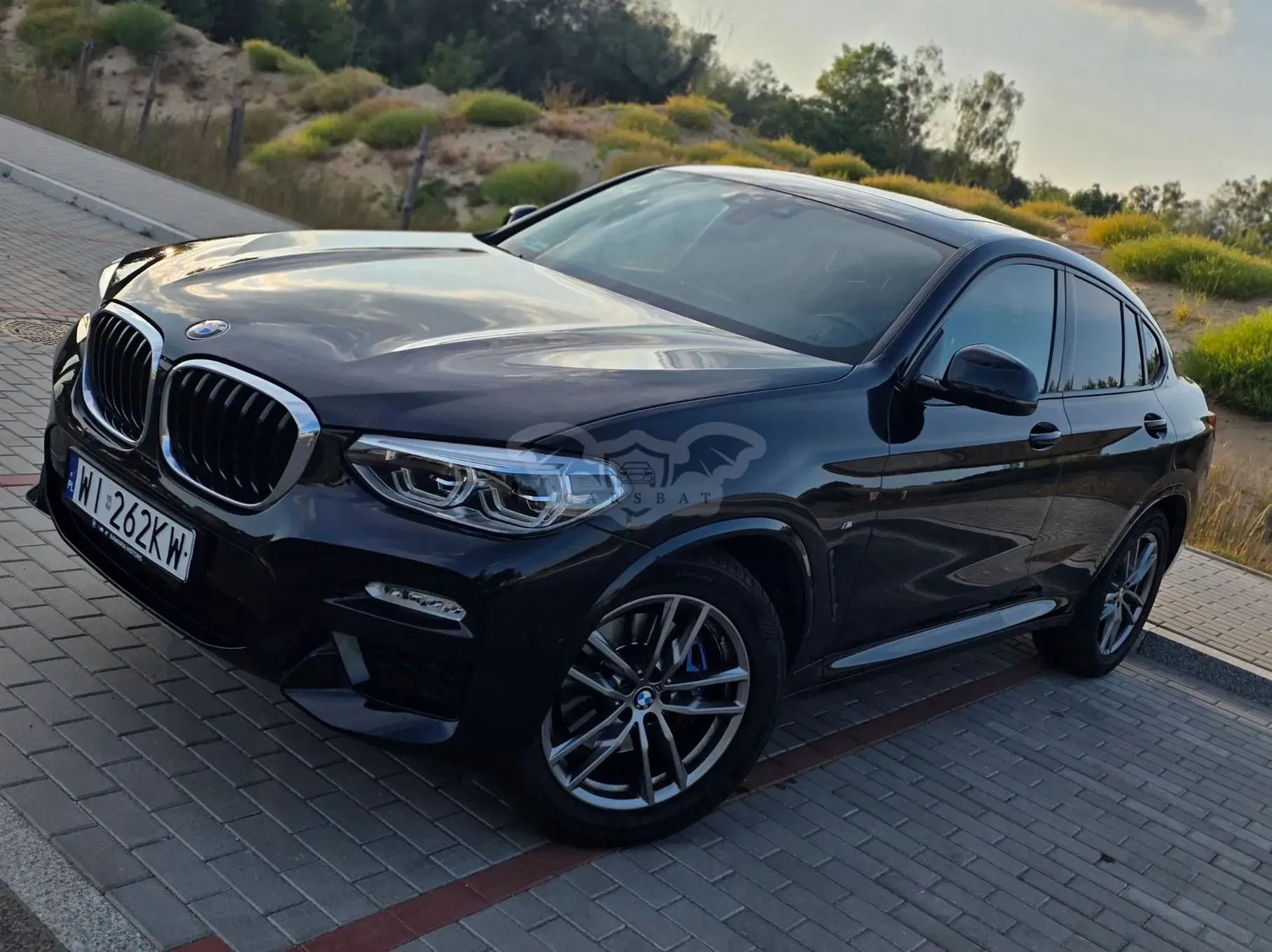 BMW X4 G02 xDrive30i GPF M Sport sport 2019