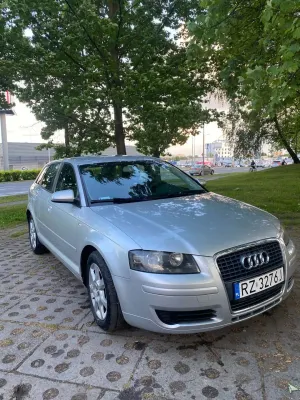 Audi A3 8P 1.9 TDI DPF e 2006
