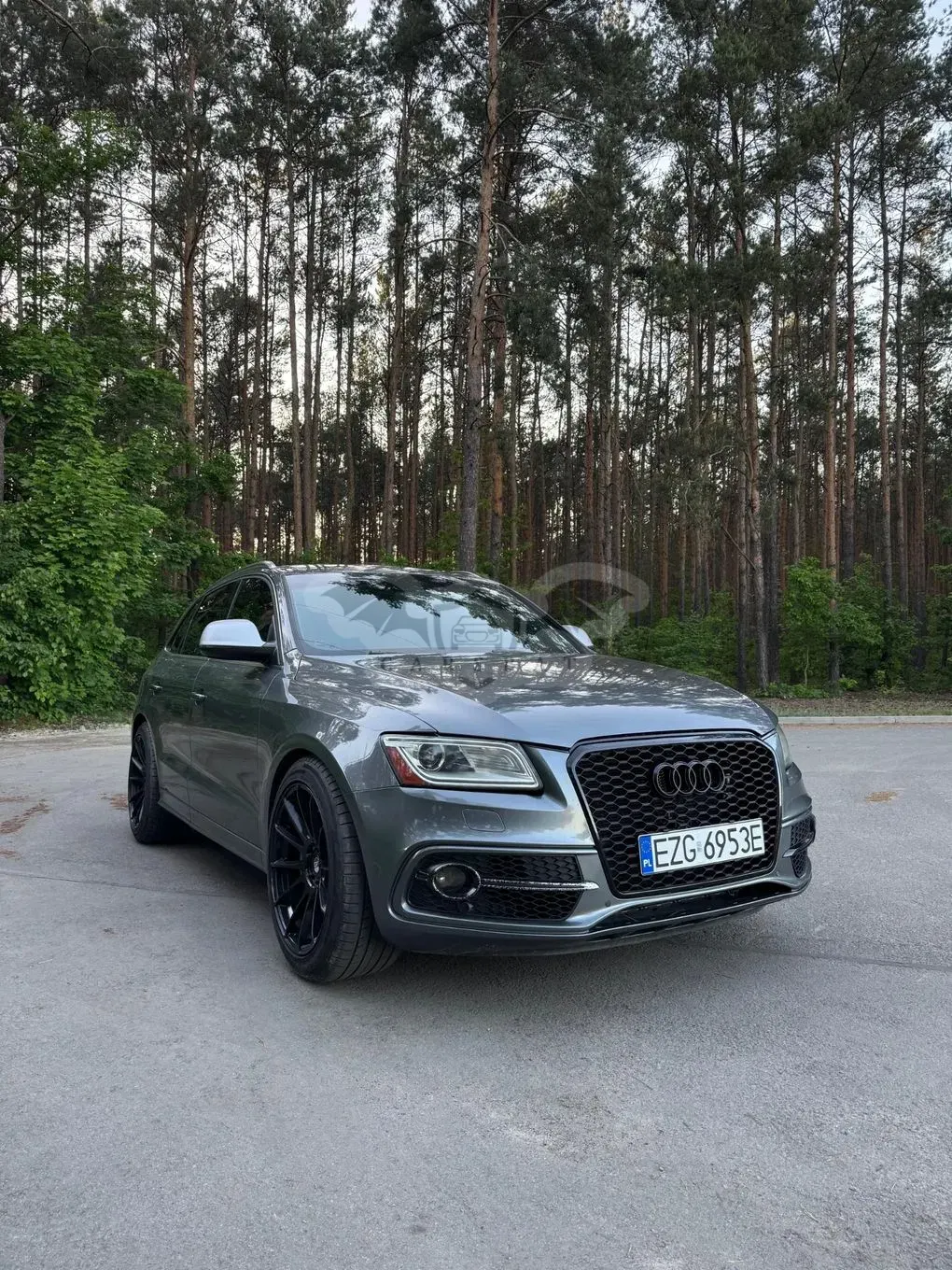 Audi SQ5 2014