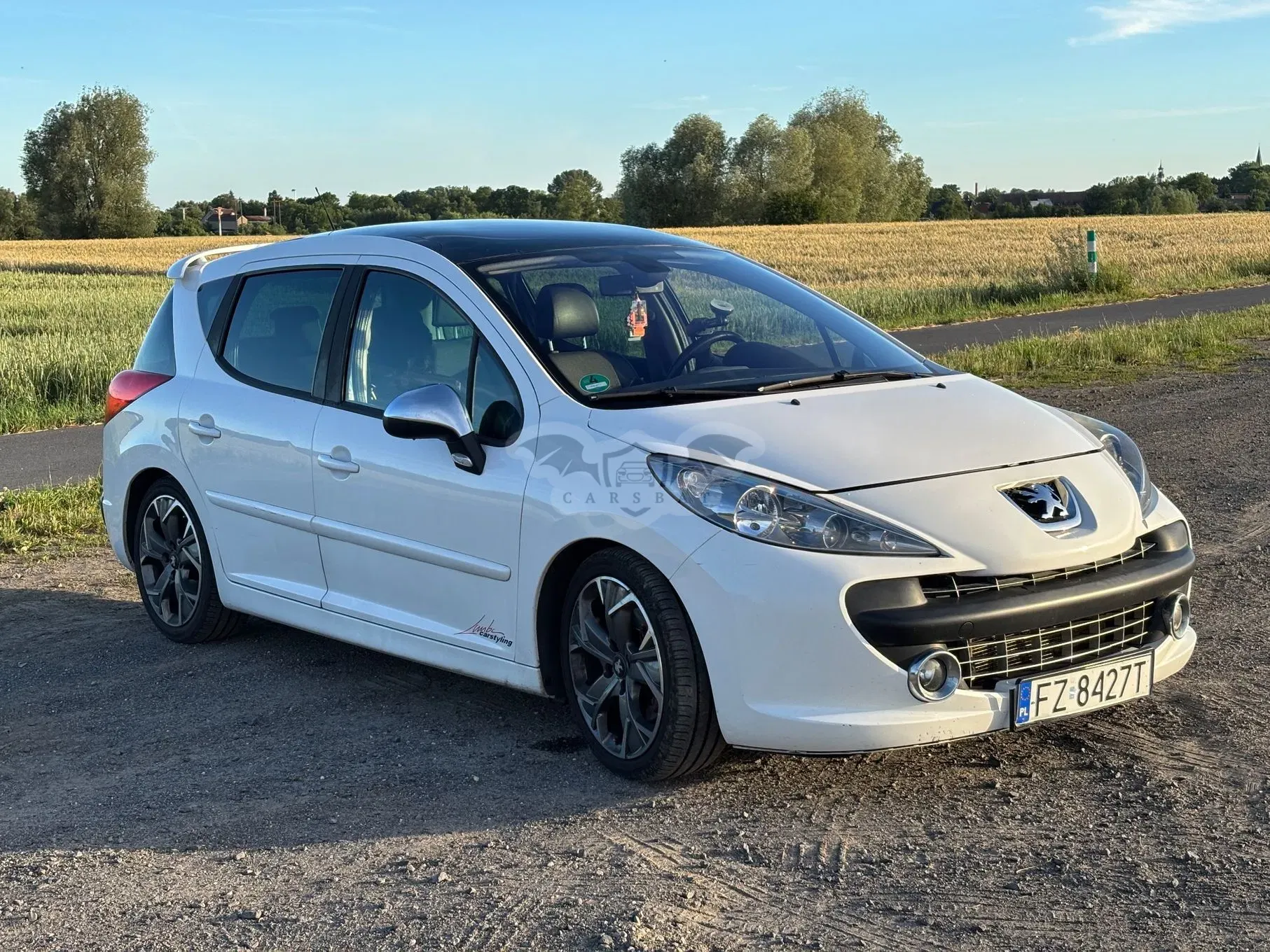 Peugeot 207 2007