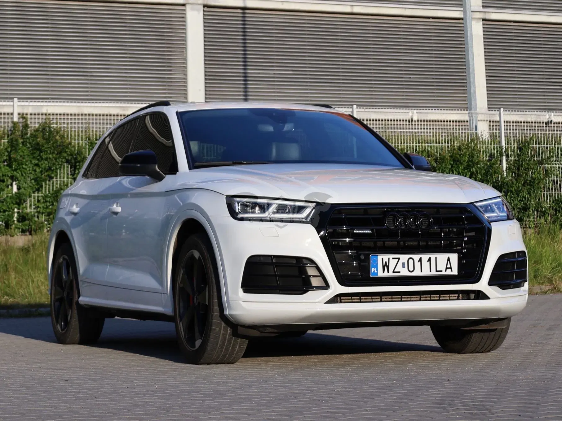 Audi SQ5 2019