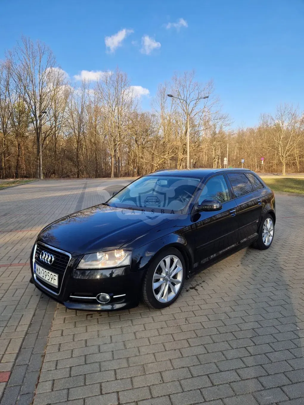 Audi A3 8V 2013