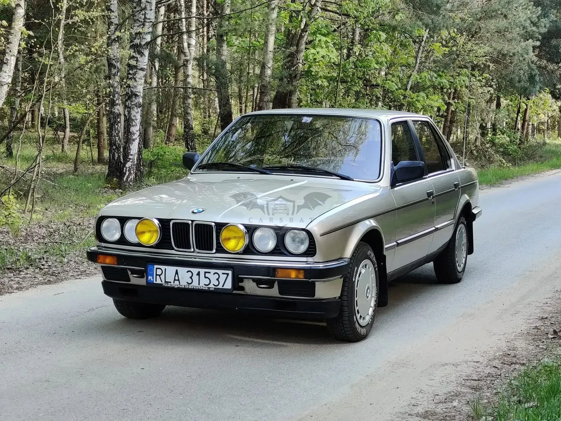 BMW 3 Series E30 (1982-1994) 1984