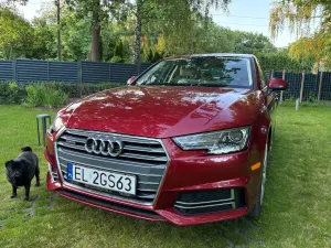 Audi A4 B9 2.0 TFSI quattro S tronic design 2017