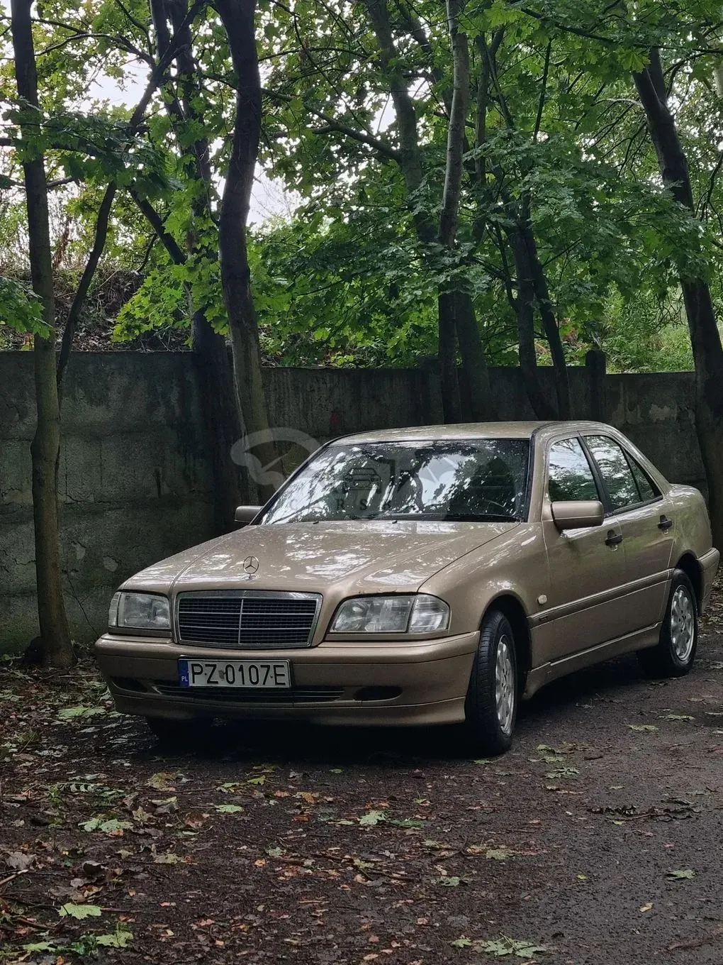 Mercedes-Benz C W202 220 CDI Classic 2000