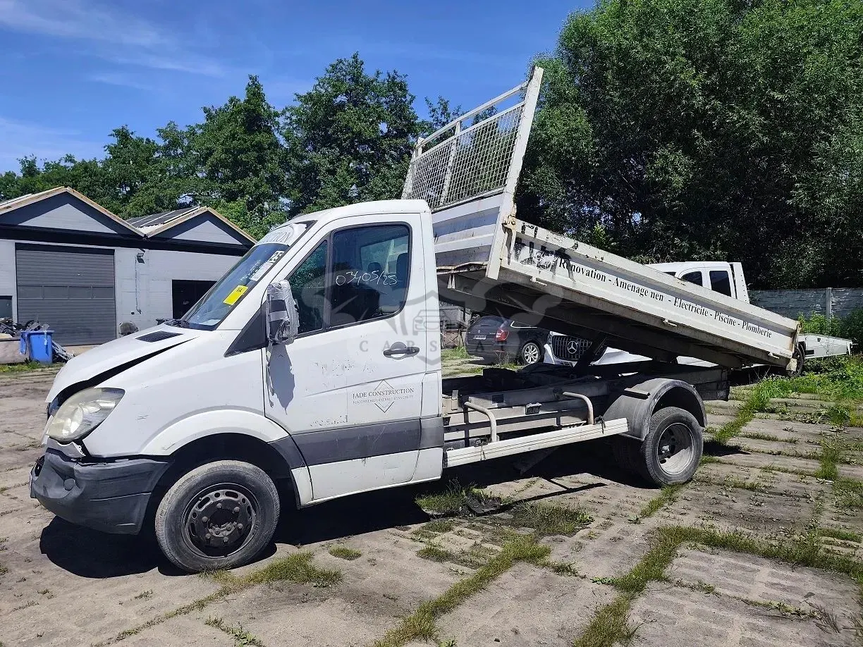 Mercedes-Benz Sprinter 2009
