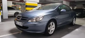Peugeot 307 2.0 Sport 2004