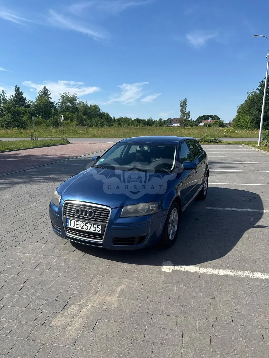 Audi A3 8P 1.9 TDI DPF e 2006