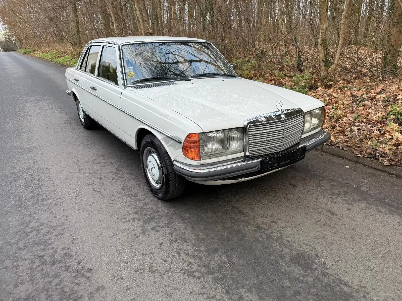 Mercedes-Benz E 1979