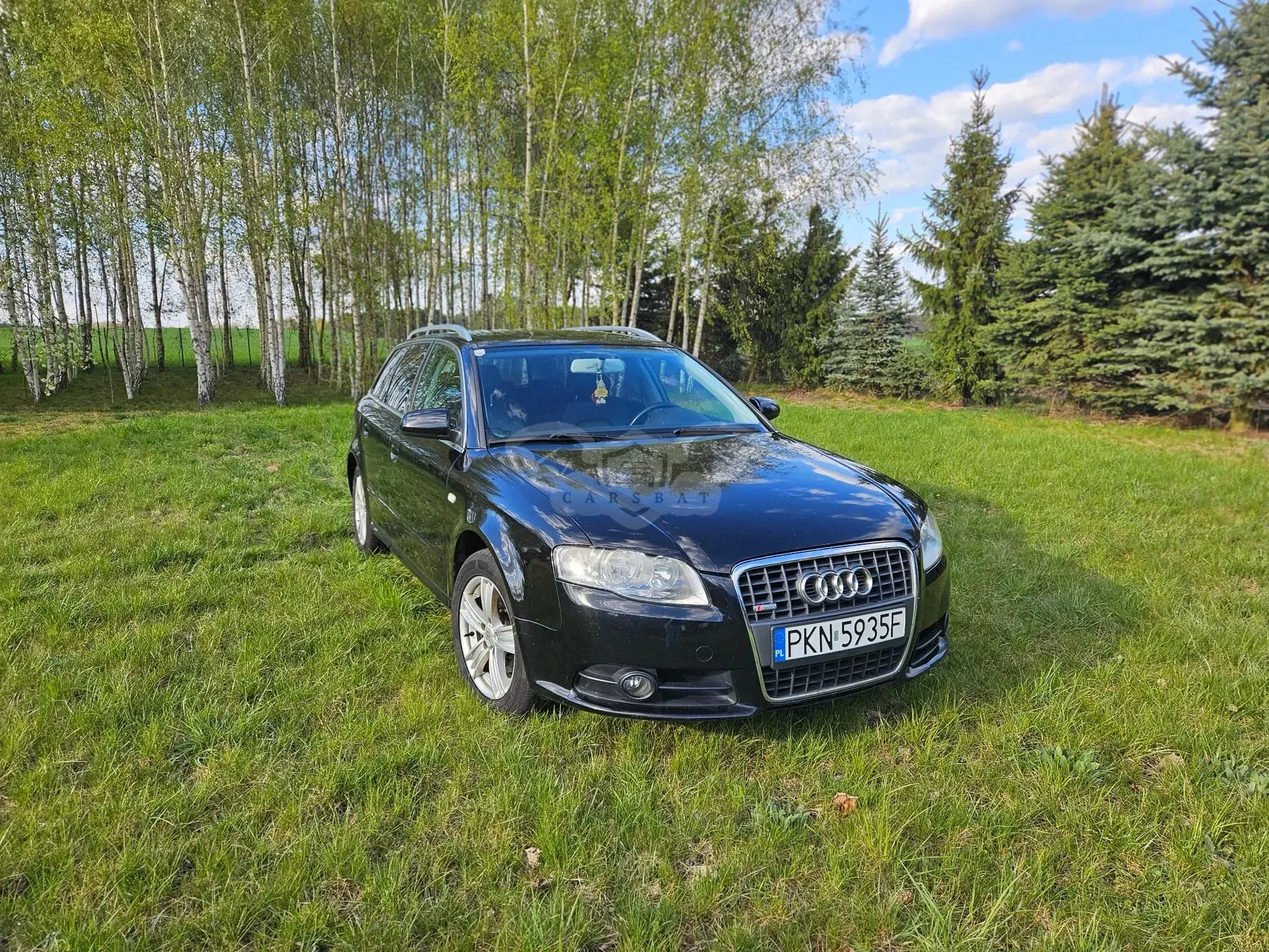 Audi A4 B7 2.0 TDI DPF quattro 2006