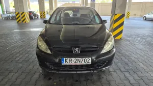 Peugeot 307 I 1.6 Mistral 2004