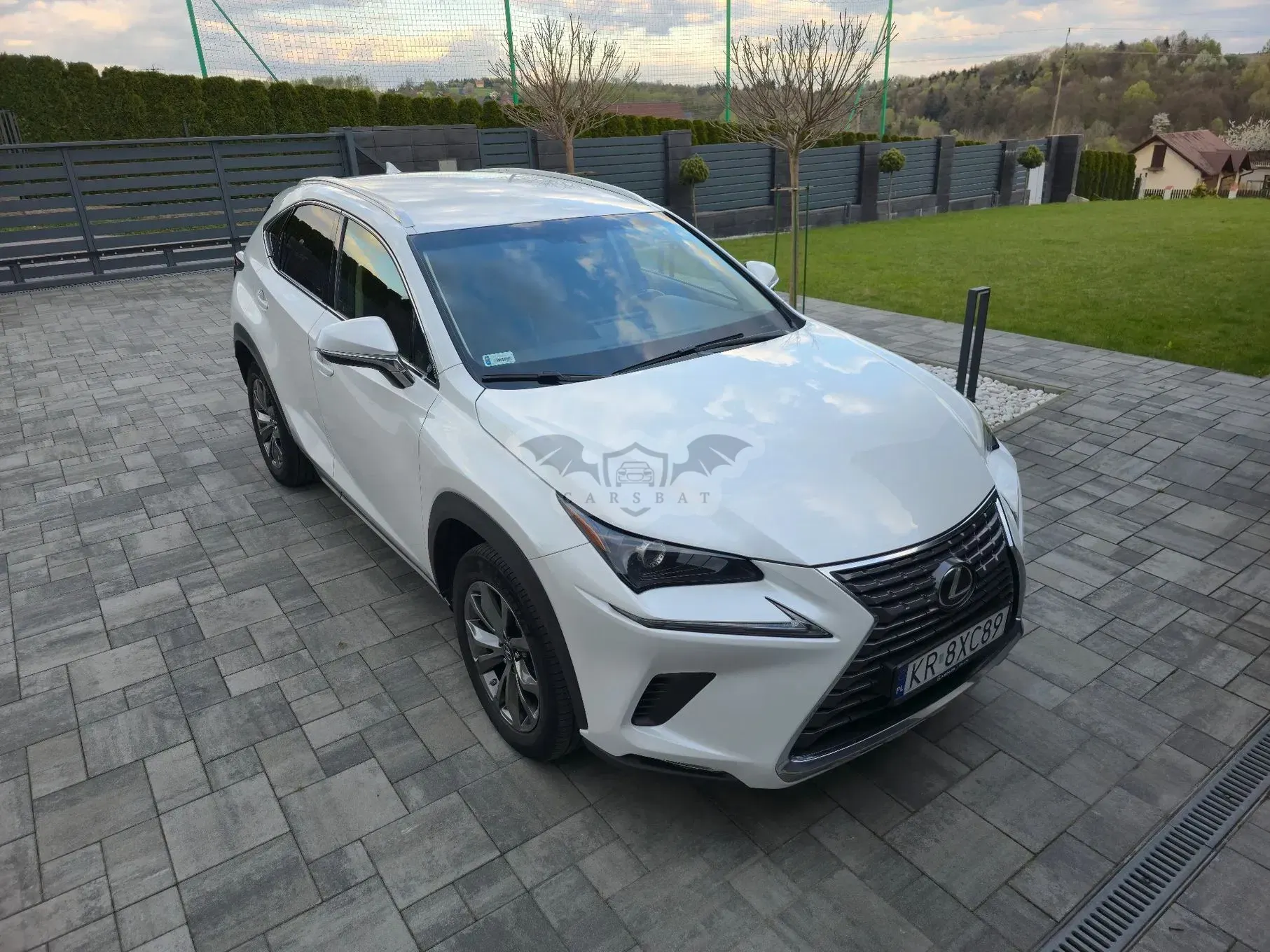 Lexus NX I 300 GPF Comfort AWD 2018