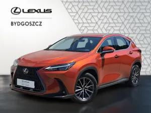 Lexus NX II 350h Business AWD 2024