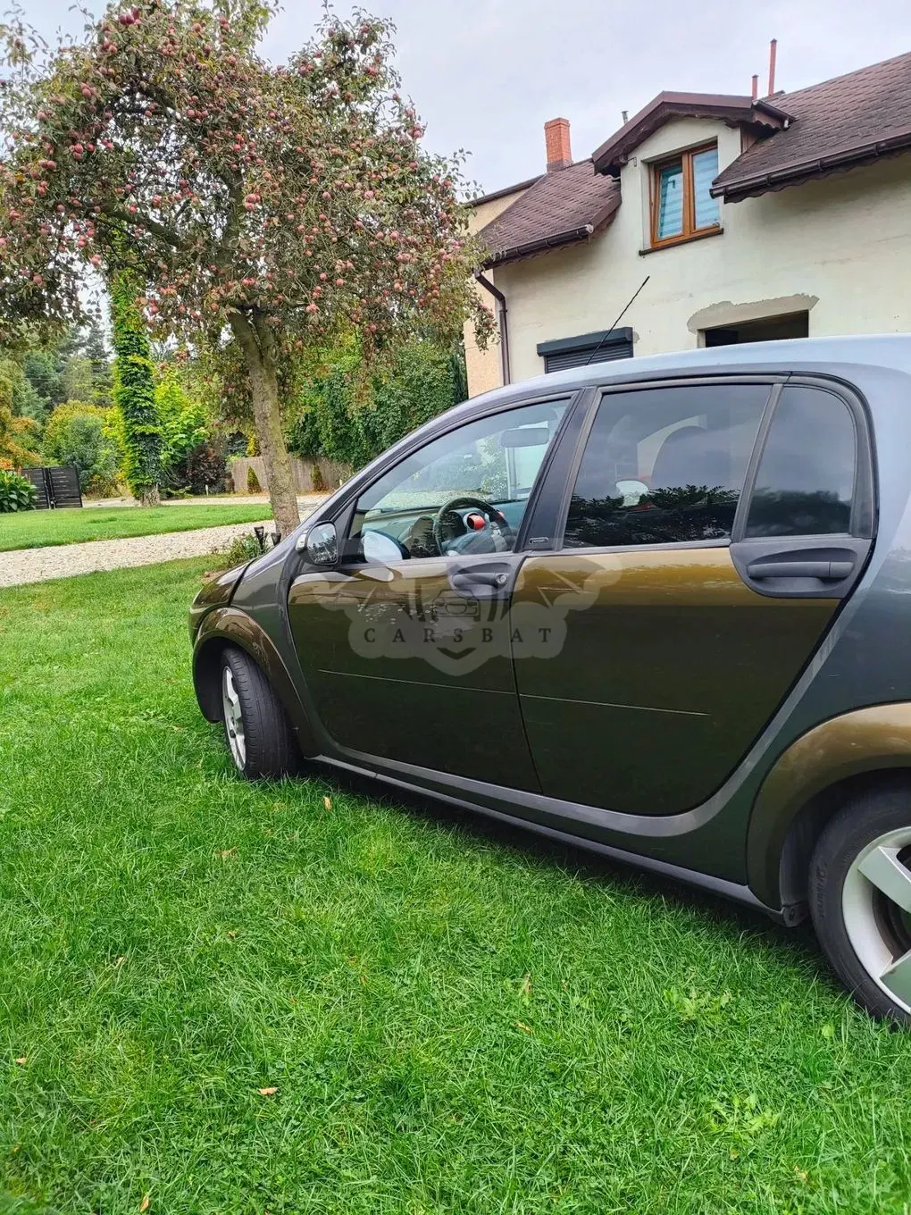 Smart Forfour I passion 2004