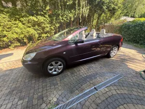 Peugeot 307 2004