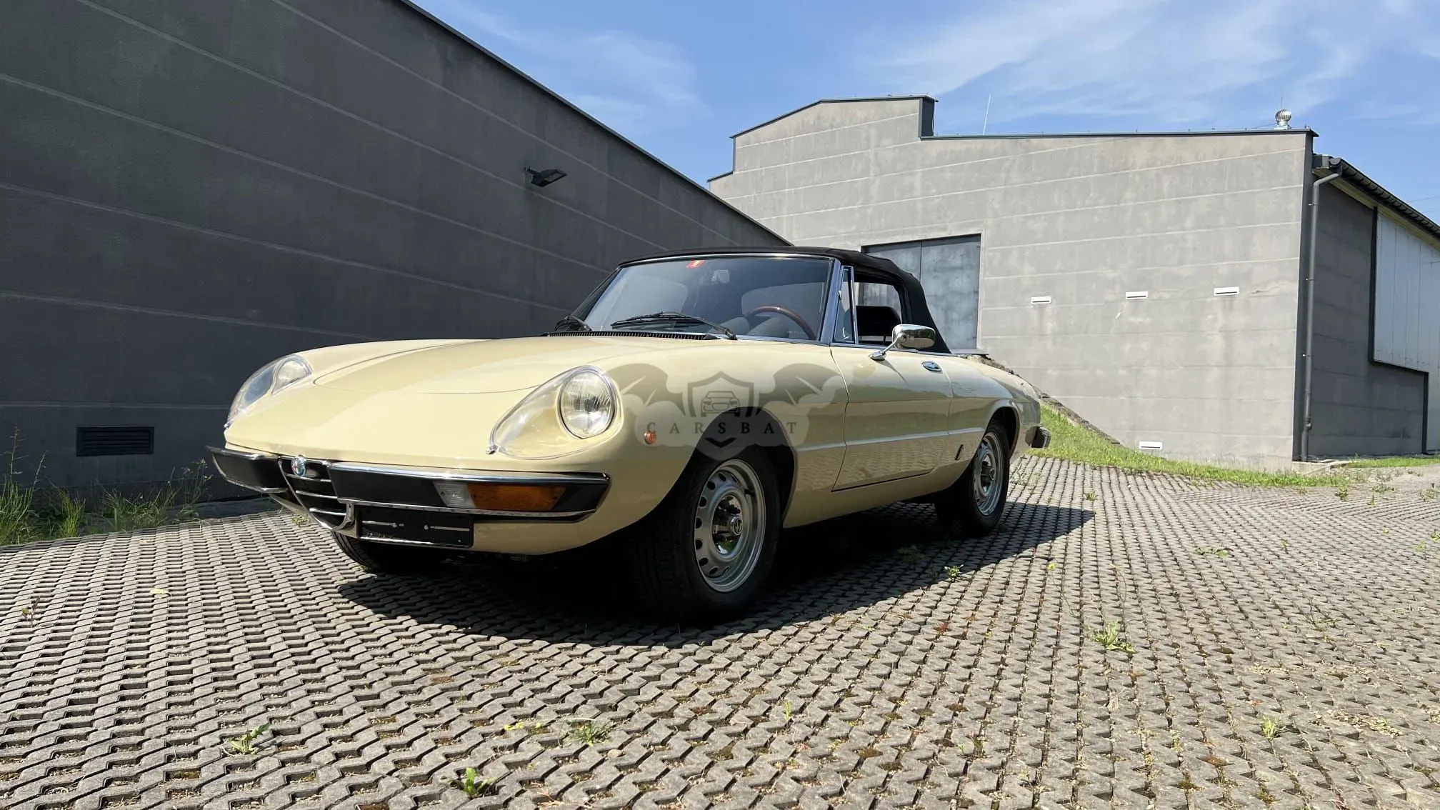 Alfa Romeo Spider 1982
