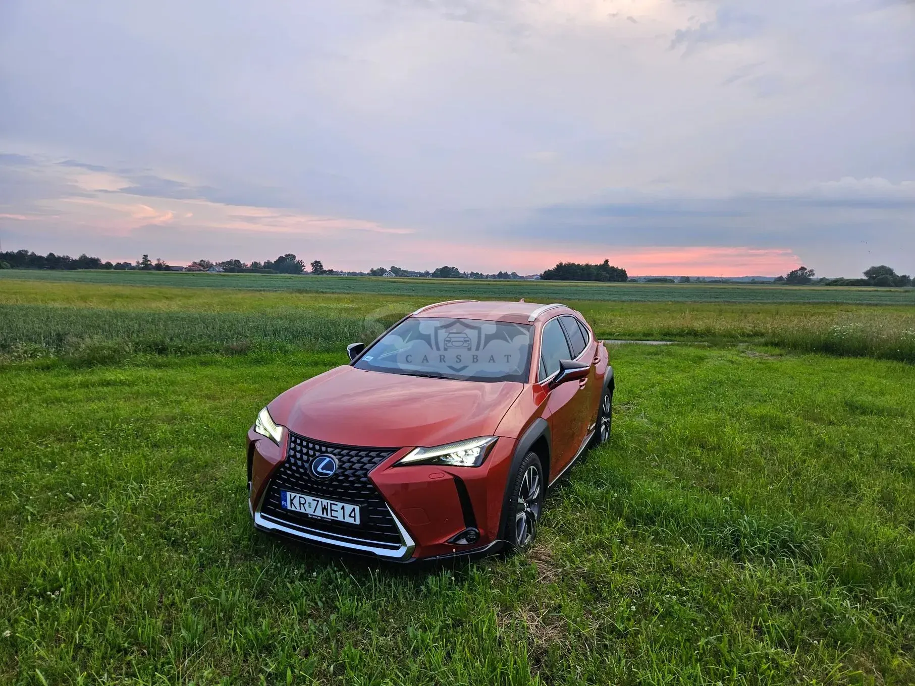 Lexus UX 250h GPF Omotenashi AWD 2019