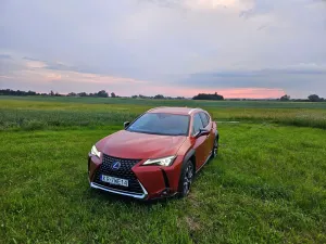Lexus UX 250h GPF Omotenashi AWD 2019