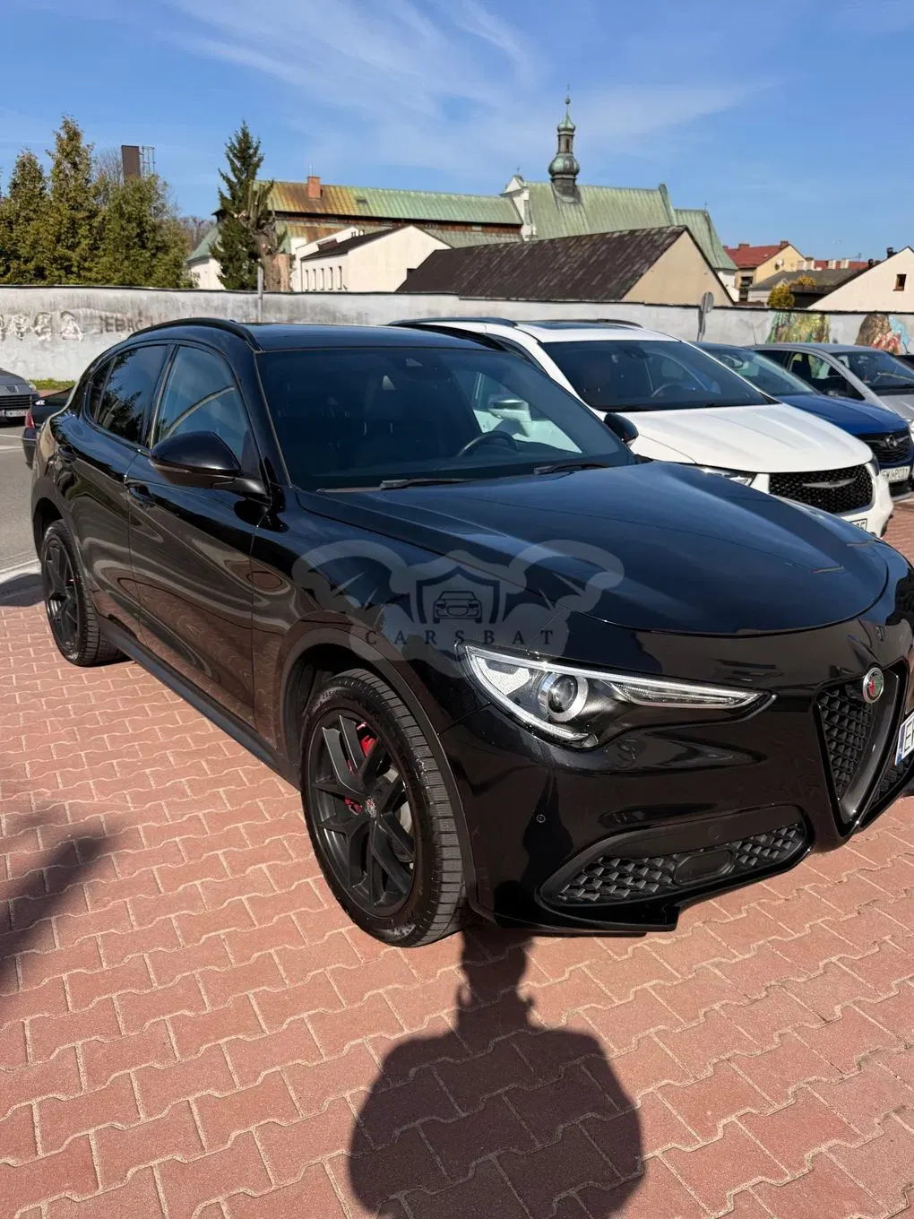 Alfa Romeo Stelvio 2.0 Turbo 16V AT8-Q4 Ti 2017