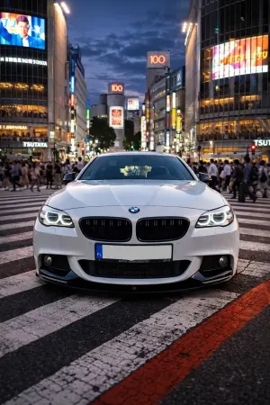 BMW 5 Series F10/F11 520d Sport-Aut BluePerformance 2012