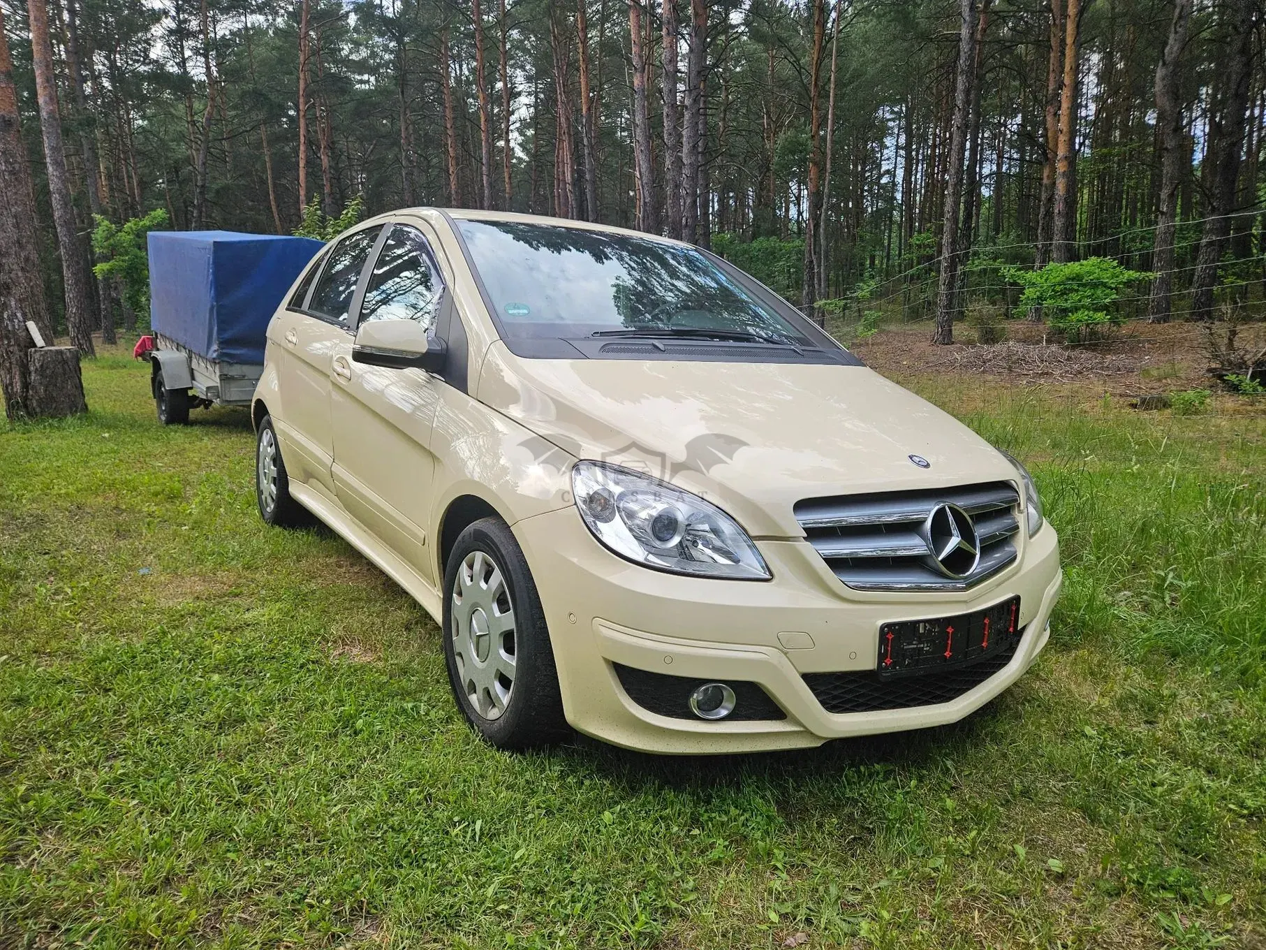 Mercedes-Benz B W245 180 CDI Autotronic Special Edition 2011