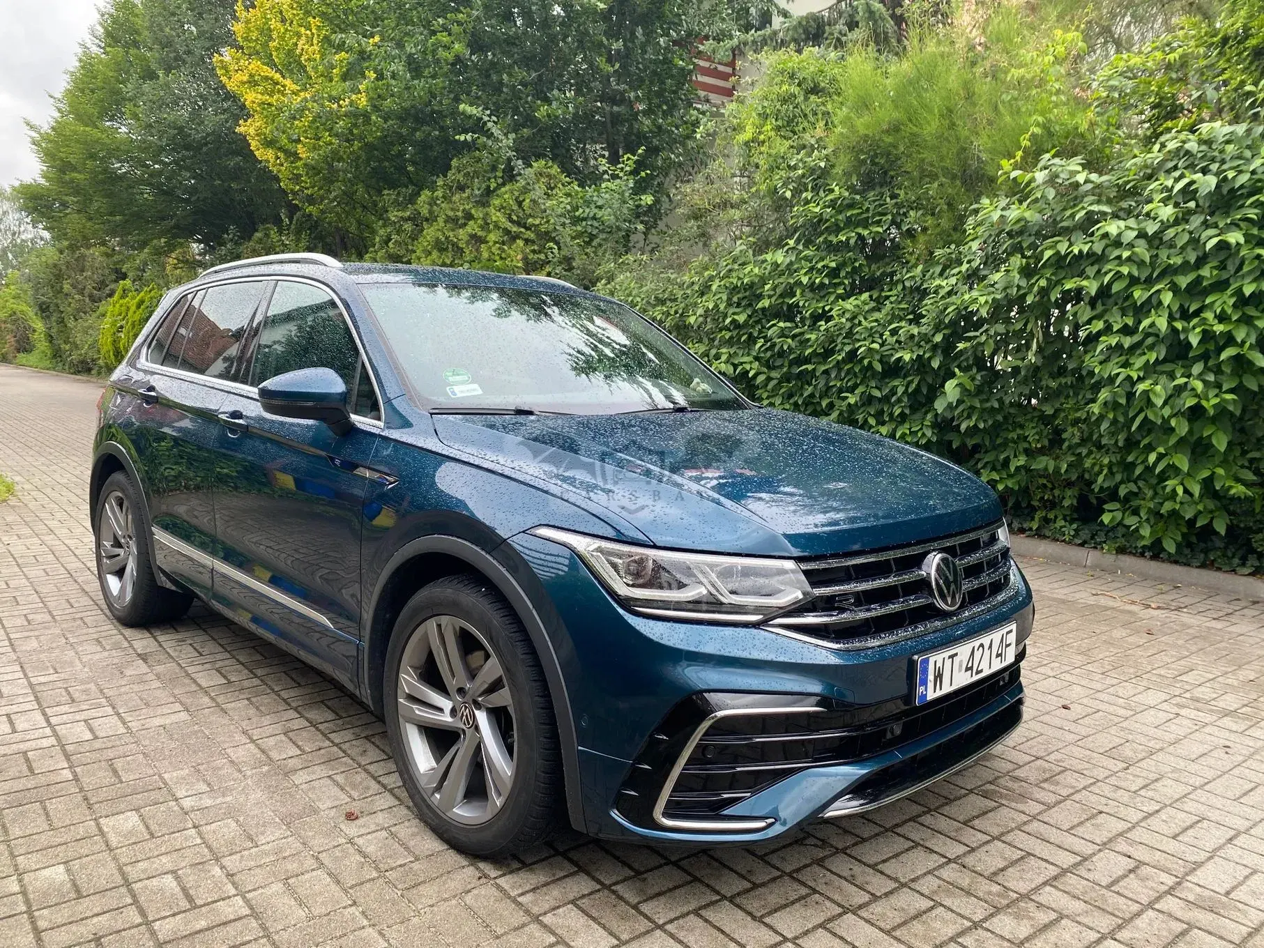 Volkswagen Tiguan II 1.5 TSI EVO R-Line DSG 2021