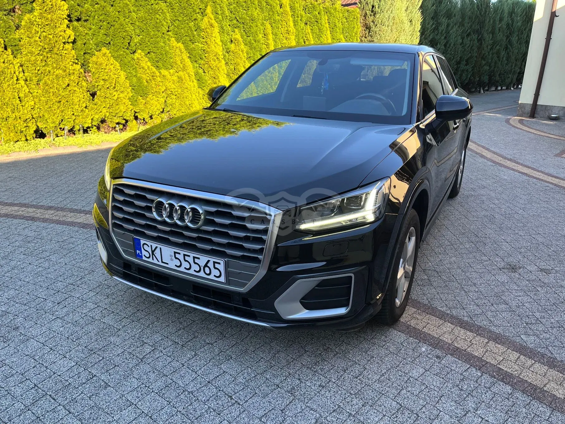 Audi Q2 1.6 TDI Sport S tronic 2017