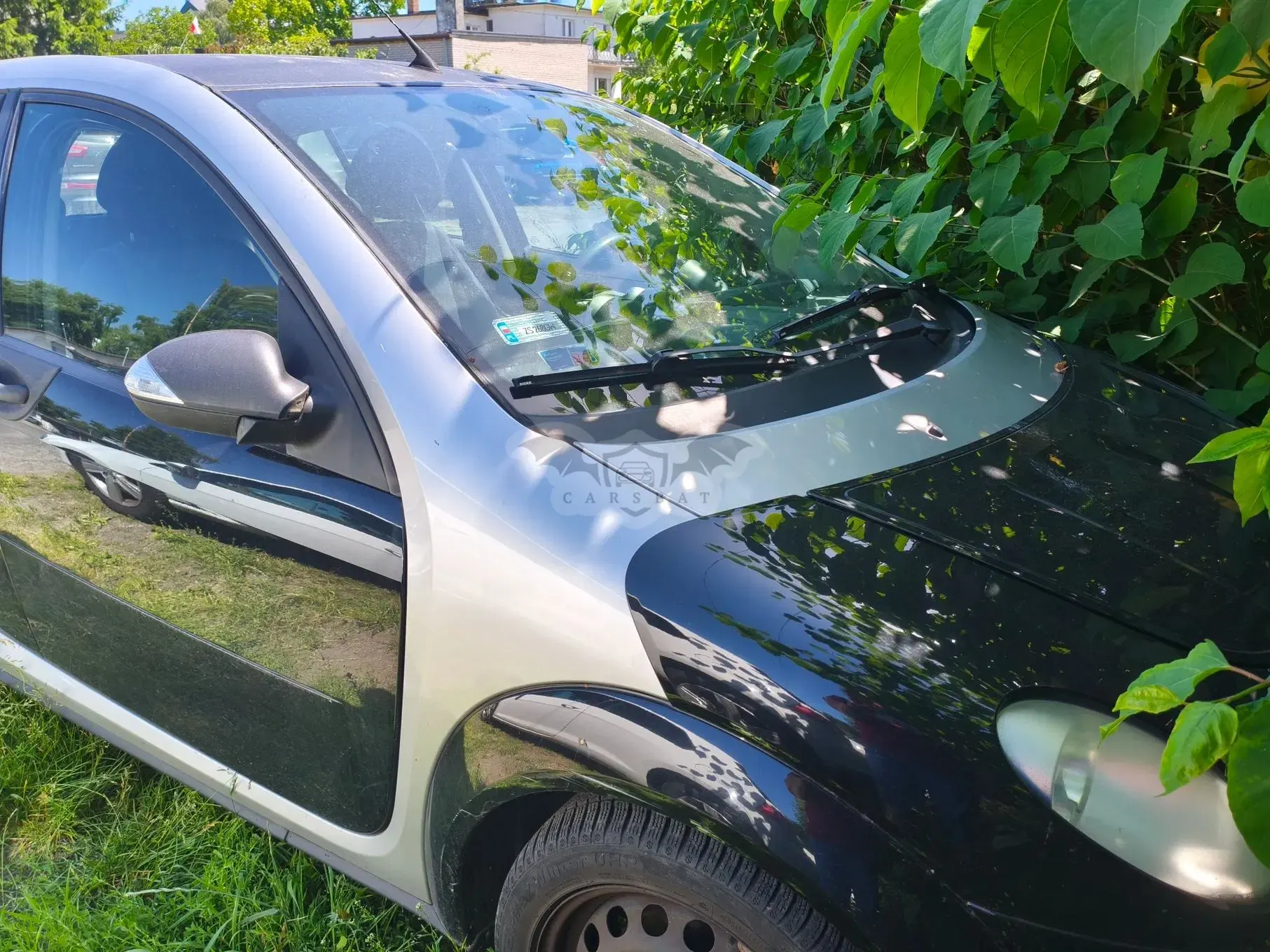 Smart Forfour I softtouch pulse 2005