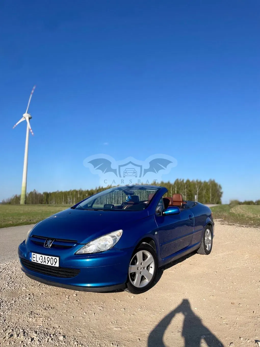 Peugeot 307 2003