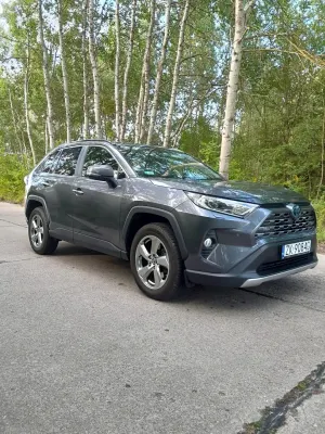 Toyota Rav4 V 2.5 Hybrid Executive 4x4 2020