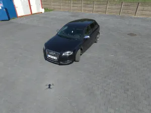 Audi S3 8P 2.0T FSI Quattro 2010