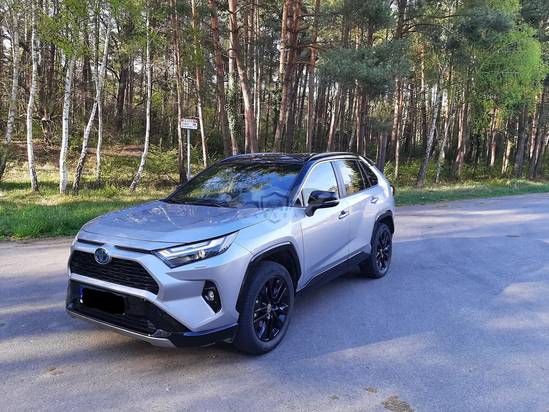 Toyota Rav4 V 2.5 Hybrid Selection 4x4 2022