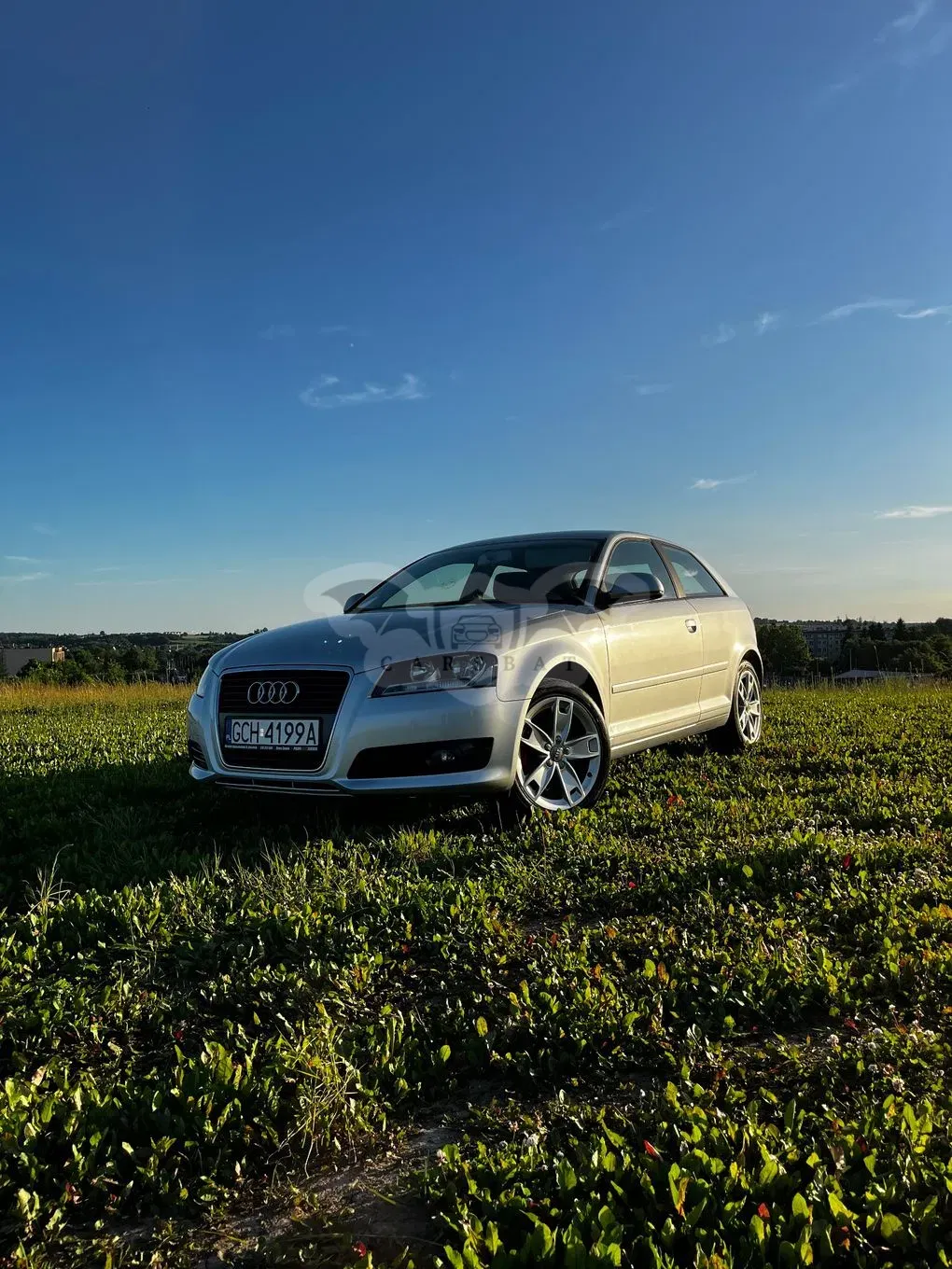 Audi A3 8P 2010