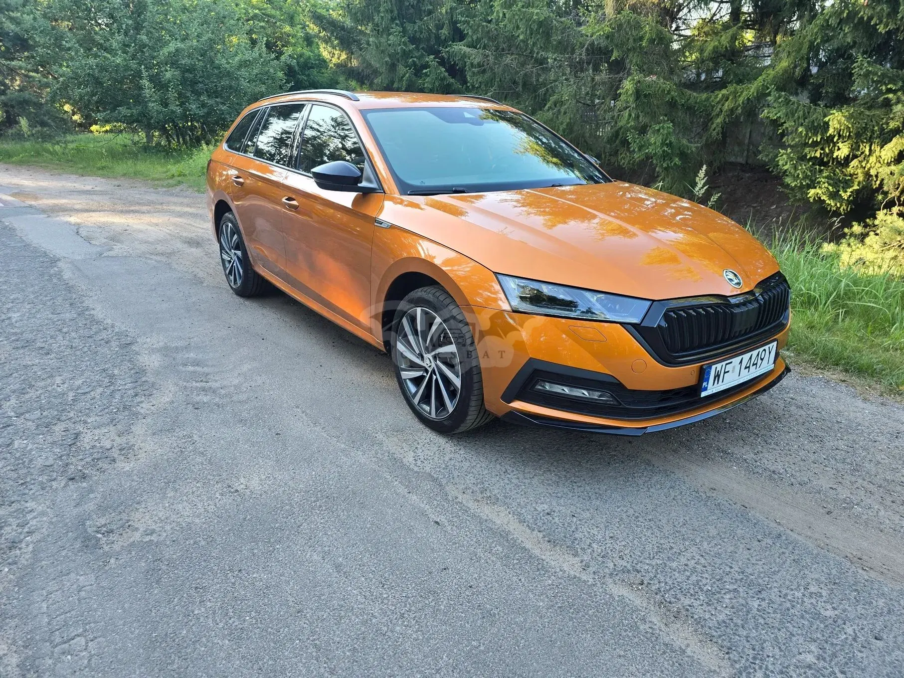 Skoda Octavia IV 2.0 TDI Sportline DSG 2023