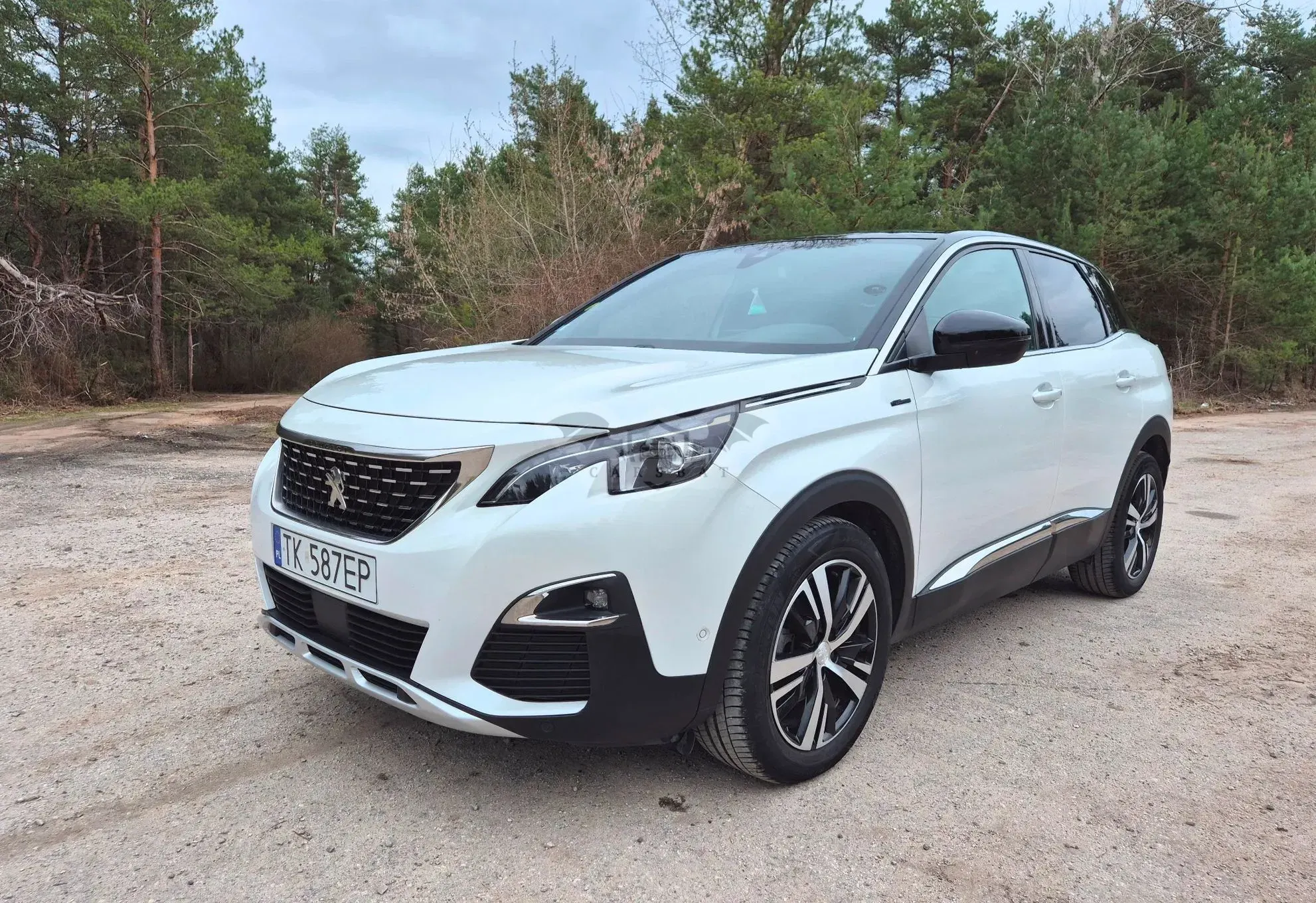 Peugeot 3008 II BlueHDi 130 Stop & Start Active Business-Paket 2019