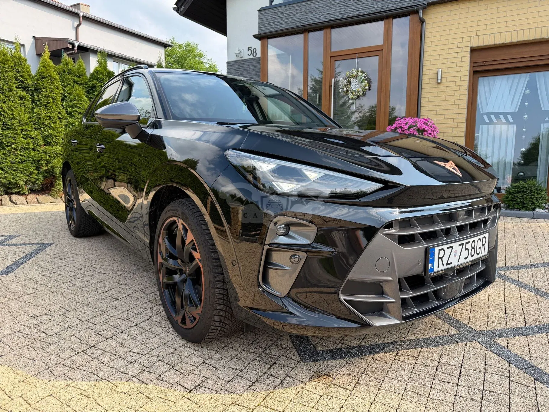 Cupra Terramar 1.5 eTSI mHEV Advantage Edition DSG 2025