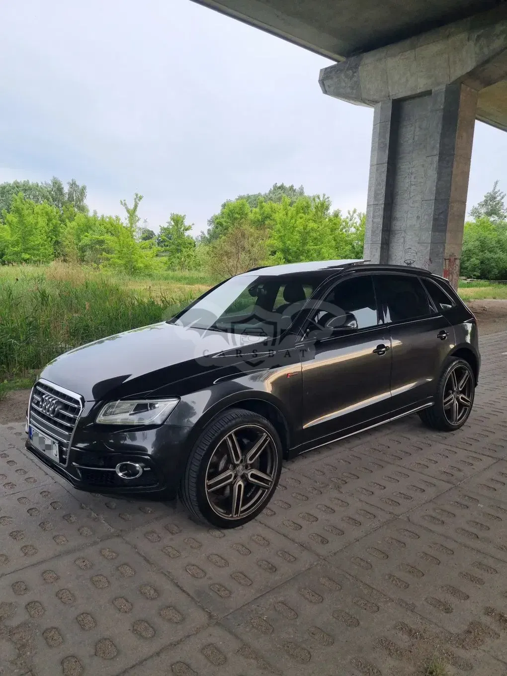 Audi SQ5 2015