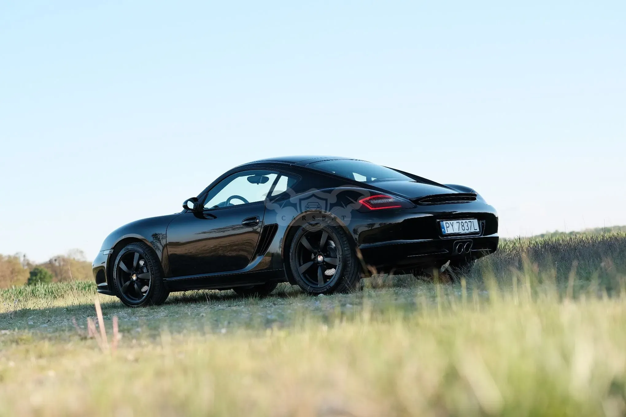 Porsche Cayman Standard 2008