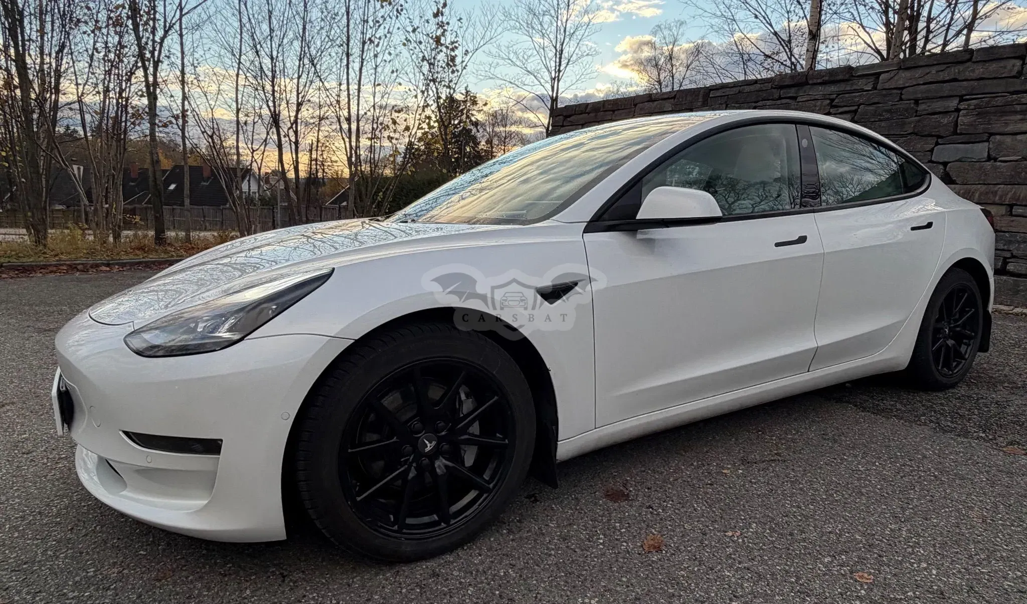 Tesla Model 3 2020