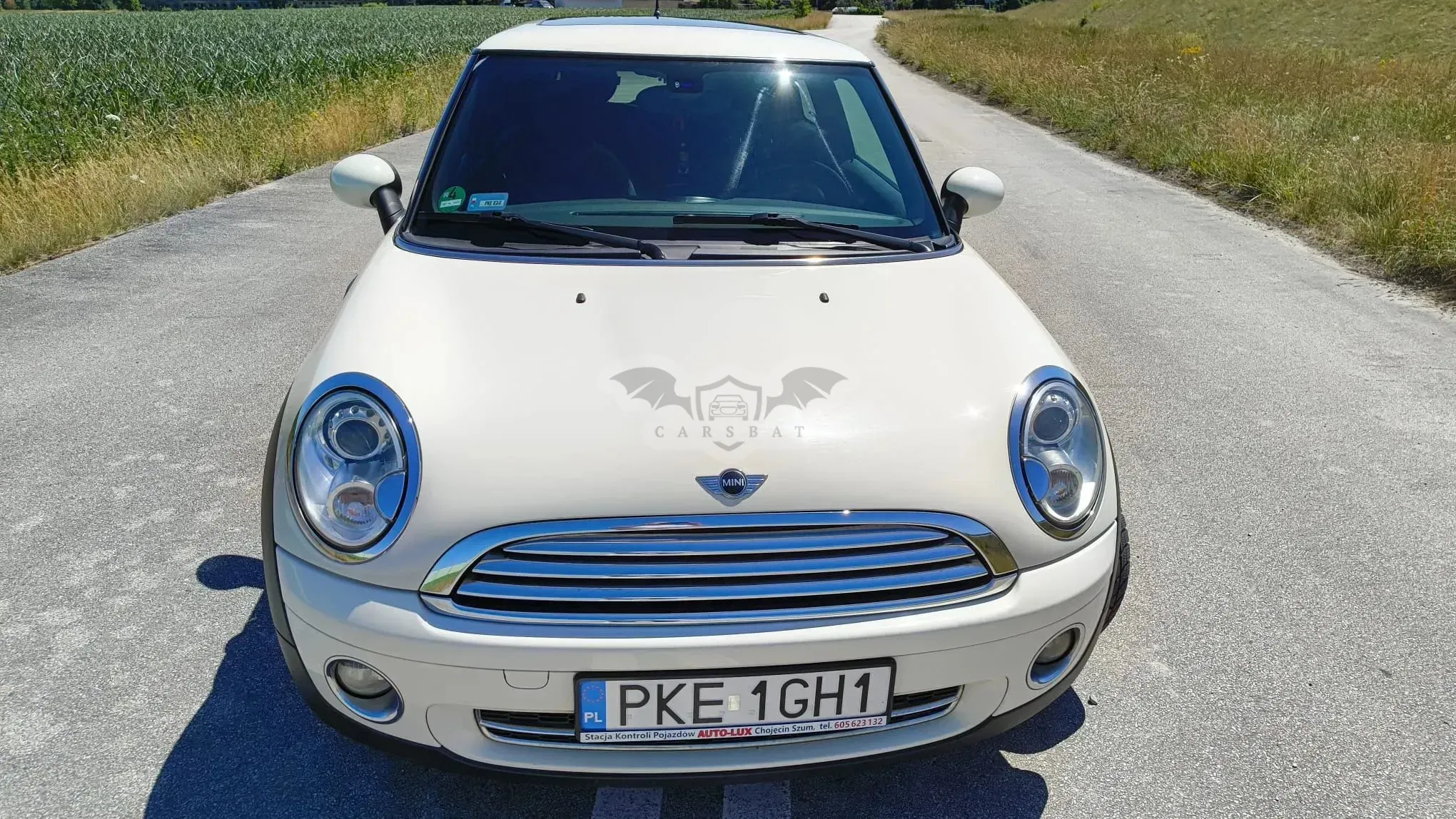 Mini Cooper Standard 2010
