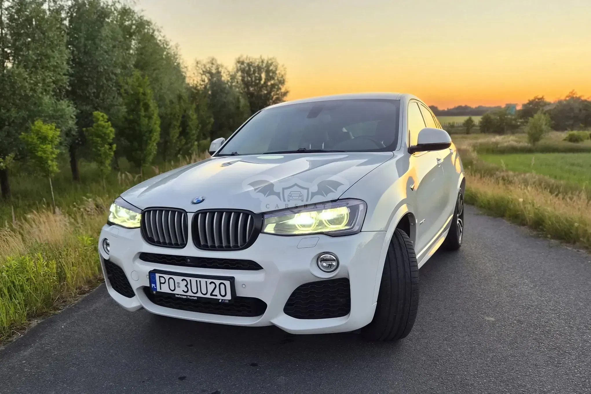 BMW X4 F26 (2014–2018) xDrive28i Edycja M Sport 2017
