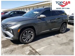 Hyundai Tucson IV (2020-) 2024