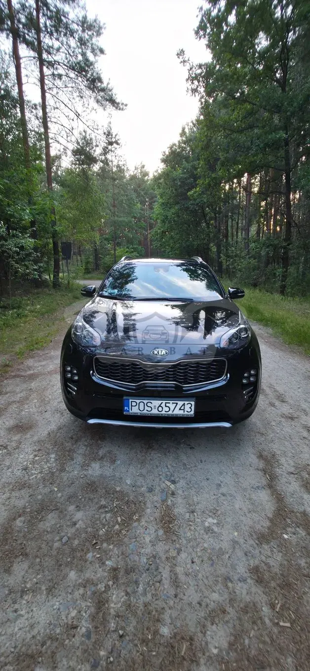 Kia Sportage IV (2016-2021) 1.6 T-GDI L 4WD DCT 2017