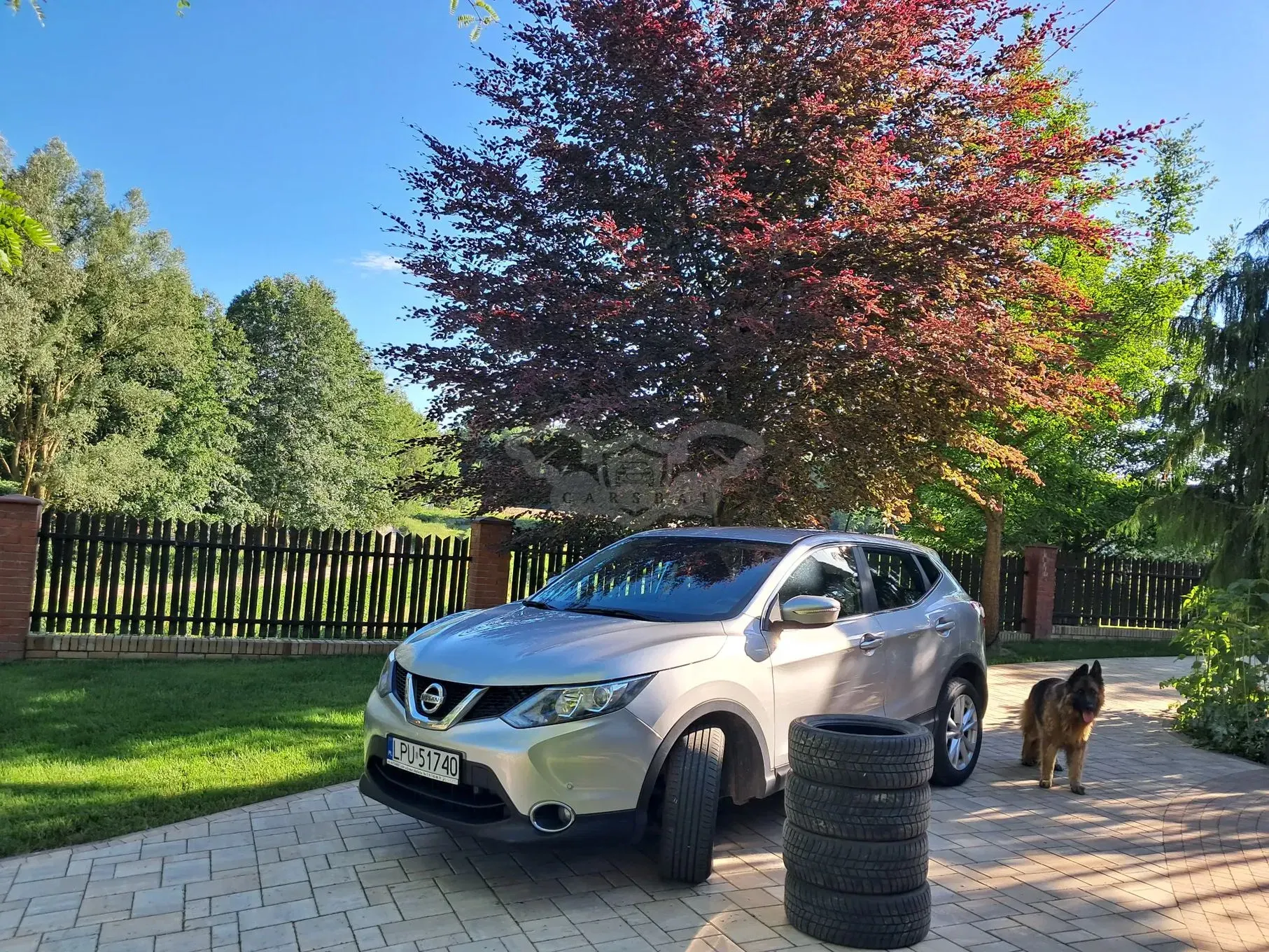 Nissan Qashqai II (2013-2021) 1.5 dCi N-Connecta 2014