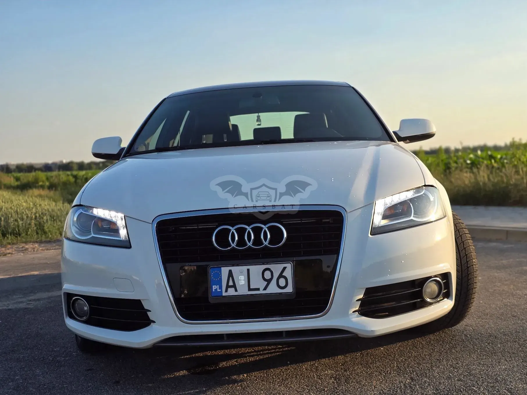 Audi A3 8P (2003-2012) 2.0 TFSI Ambition S tronic 2011