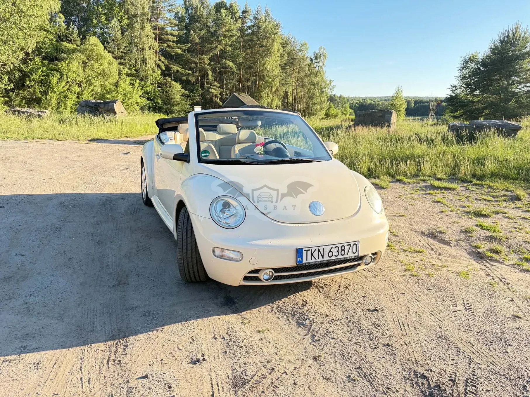 Volkswagen Beetle 2003